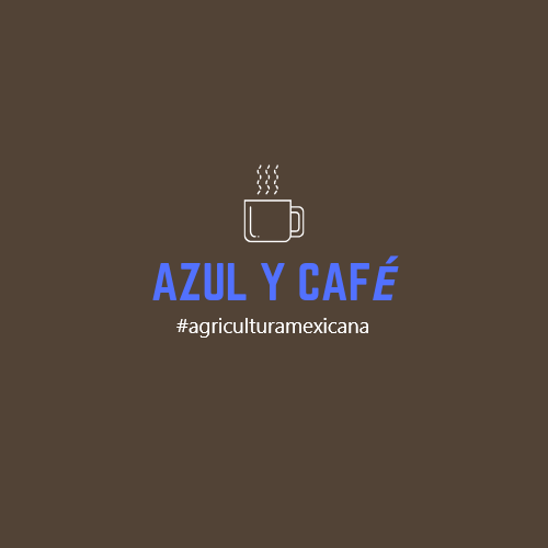 Azulycaf1 tweet picture