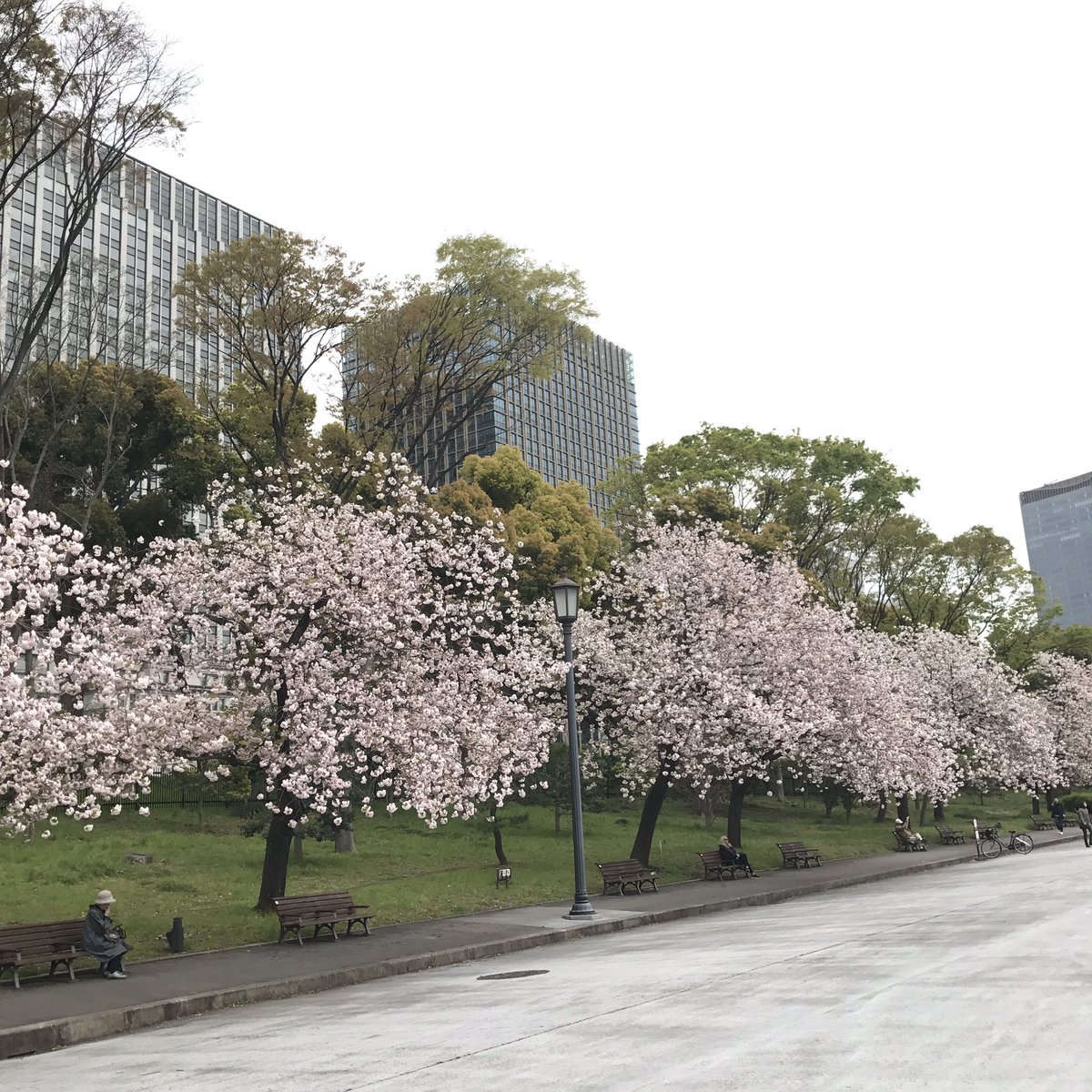 keiko_aso's tweet photo. #Tokyo #Nijubashi
寒い。久しぶり Tokyo 紀尾井町まで。一番町でお蕎麦も食べた。ロンドンから帰国して初東京。好きな景色だ。江戸時代のなごりに、桜にガラスのビルに。皇居、５月からは新しい天皇のお住まいになるんだな。私にはこれ平成最後の東京かも。さよなら。 https://t.co/QrjJBWX78I