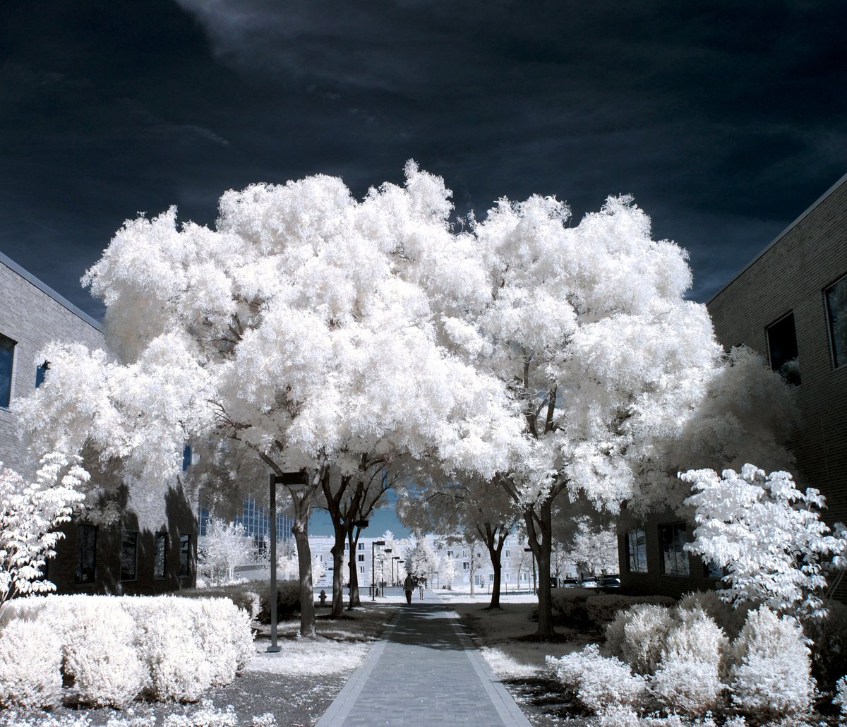 landscapes infrared photography