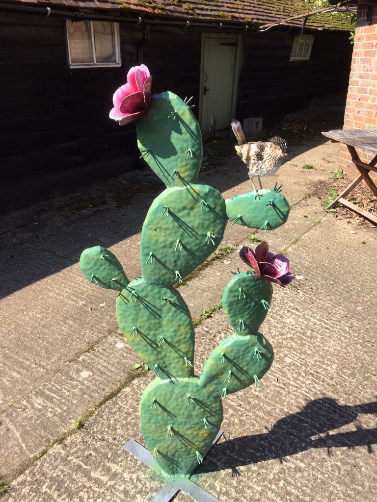 alisoncatchlove's tweet photo. Accidentally painted the cactus, thought I was leaving it metal, just colouring the bird and flowers 🌺 Not sure it's finished, but I'm pleased with the way it's looking. #metalwork #sculpture #gardensculpture #cactus #cactusflower #cactuswren #surreyartist #surreysculpture https://t.co/yuqNYe3mg6