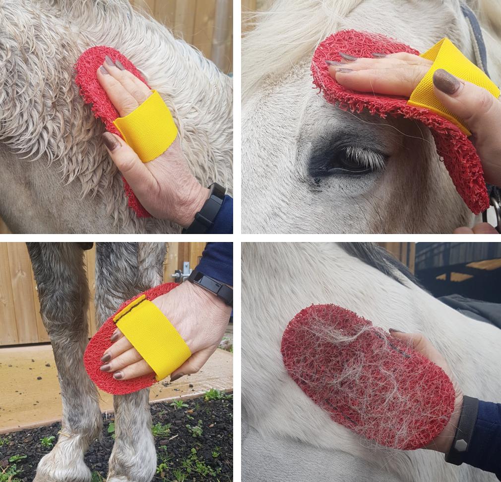 Smart_Grooming's tweet photo. WIN A SUPERGROOMER!

To be in with a chance of winning one of our fantastic SuperGroomers, all you have to do is:
- RT
- Follow

T&amp;Cs apply. 

-

#smartgrooming #win #horsecomp #horsechathour #twittereventing https://t.co/twQbDva1nI