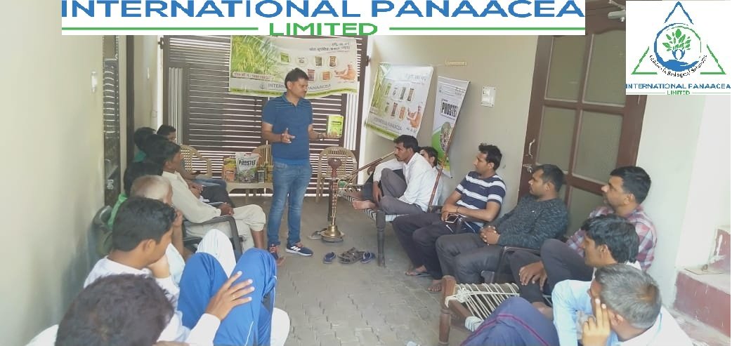 IPLBiologicals's tweet image. IPL team members conducted #farmermeeting in Khilorak village of Sonipat (Haryana) and discussed about the #solutions for #Paddycrop. Products to be used #Sanjeevni #Phasalrakshak &amp;amp; #Phoster for bountifully yield

#organicfarming #agriculture #crops