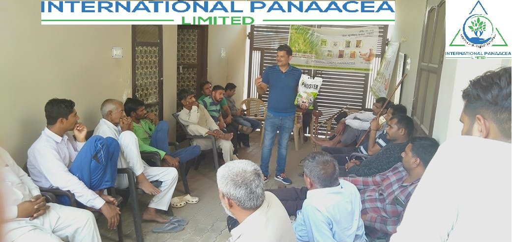 IPLBiologicals's tweet image. IPL team members conducted #farmermeeting in Khilorak village of Sonipat (Haryana) and discussed about the #solutions for #Paddycrop. Products to be used #Sanjeevni #Phasalrakshak &amp;amp; #Phoster for bountifully yield

#organicfarming #agriculture #crops