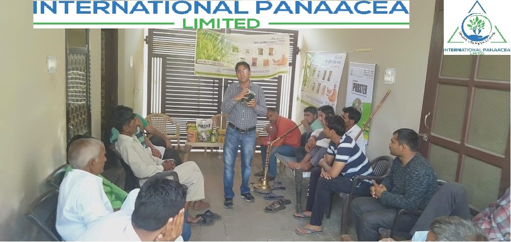 IPLBiologicals's tweet image. IPL team members conducted #farmermeeting in Khilorak village of Sonipat (Haryana) and discussed about the #solutions for #Paddycrop. Products to be used #Sanjeevni #Phasalrakshak &amp;amp; #Phoster for bountifully yield

#organicfarming #agriculture #crops