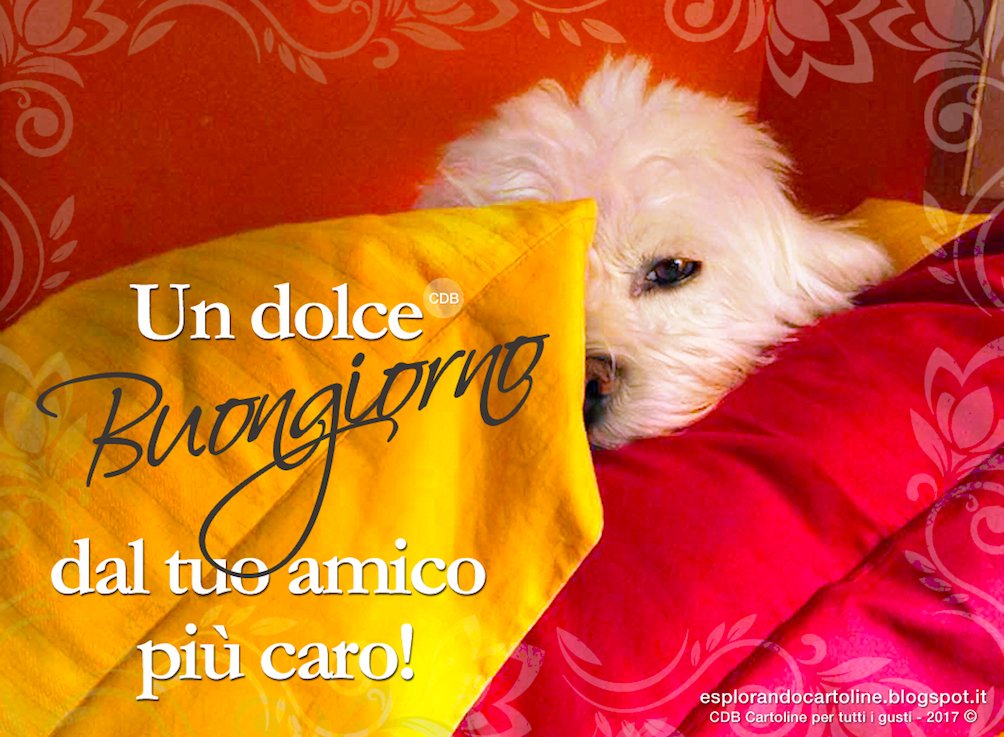 Twitter पर Cartoline Per Tutti I Gusti T Co Gsb6zuw3xd Buongiorno Buonagiornata Buonagiornataatutti Buonagiornataamici Mattino Amici Saluto Amicideicani Amicizia Cane Amore T Co G0hthppbfy