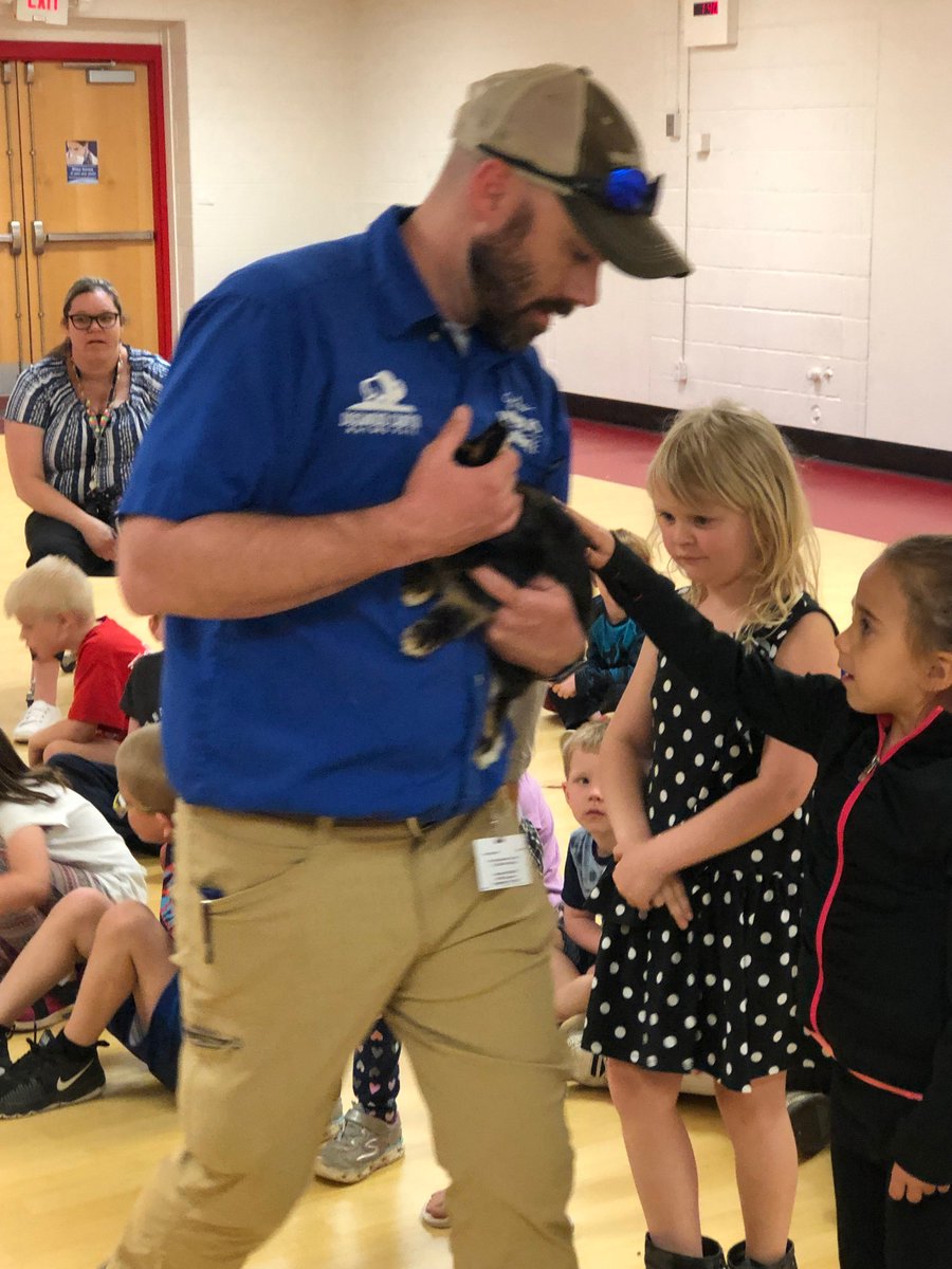 STJ Schools tweet media