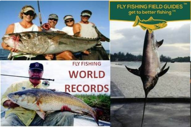 FlyGuides's tweet photo. Save this post of #flyfishing #worldrecords, and if you catch a record-beater, or one that is close, take lots of photos then register your #fish immediately at the nearest #tackleshop! https://t.co/5MXwMZvkBU
#RecordBeater #FishingChamp #TheBigOne #BiggestCatch #Trout #Bass https://t.co/JJMWXz3fI5