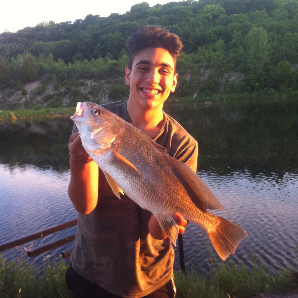 FishUniversity2's tweet photo. Freshwater Drum much like Carp are another forgotten species. People underestimate the amazing fight they give and how plentiful they are! April is when you can expect to see them running up the tributaries of the Great Lakes! https://t.co/Q0bvW0FxLz