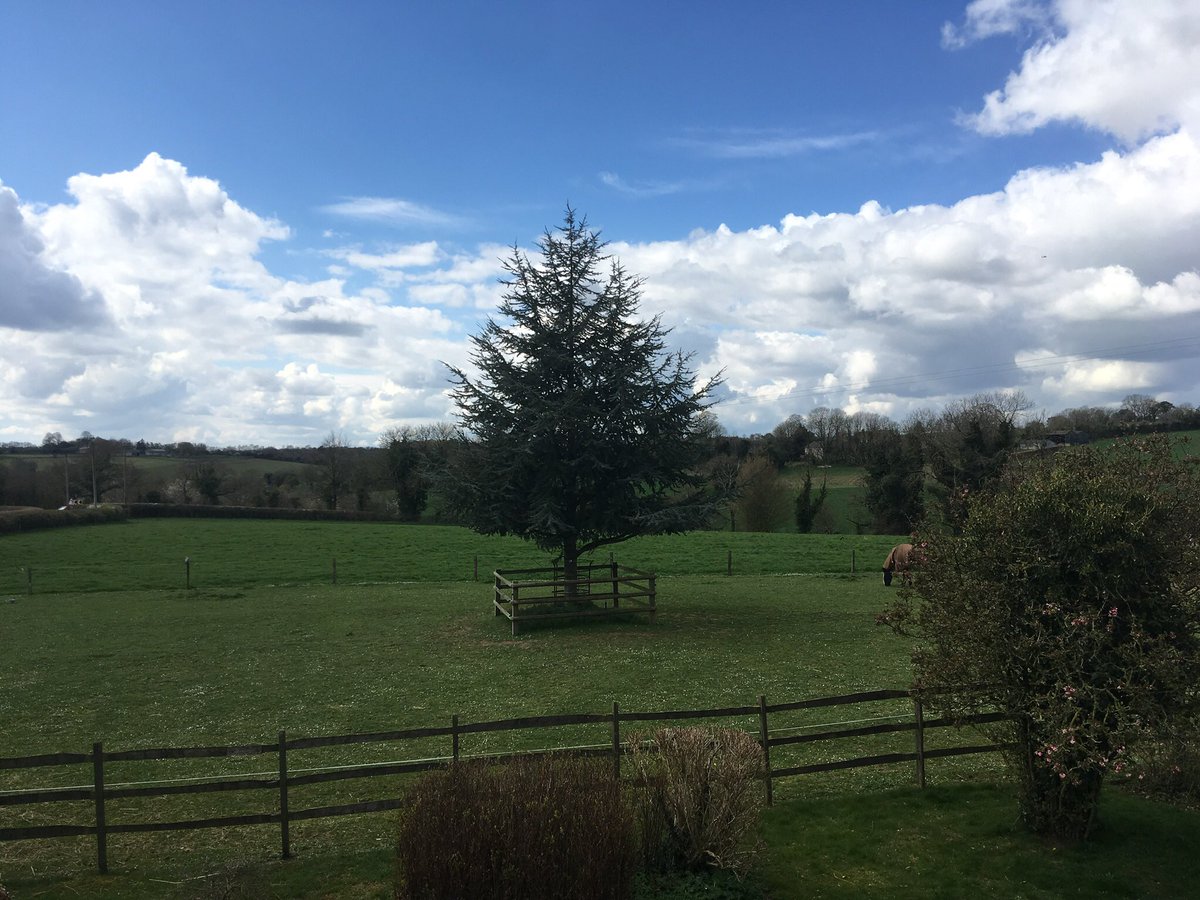 #beautifulviewhampshirecountryside wake up to this view enjoy delicious breakfast from locally sourced ingredients real working farm experience #easterbreak