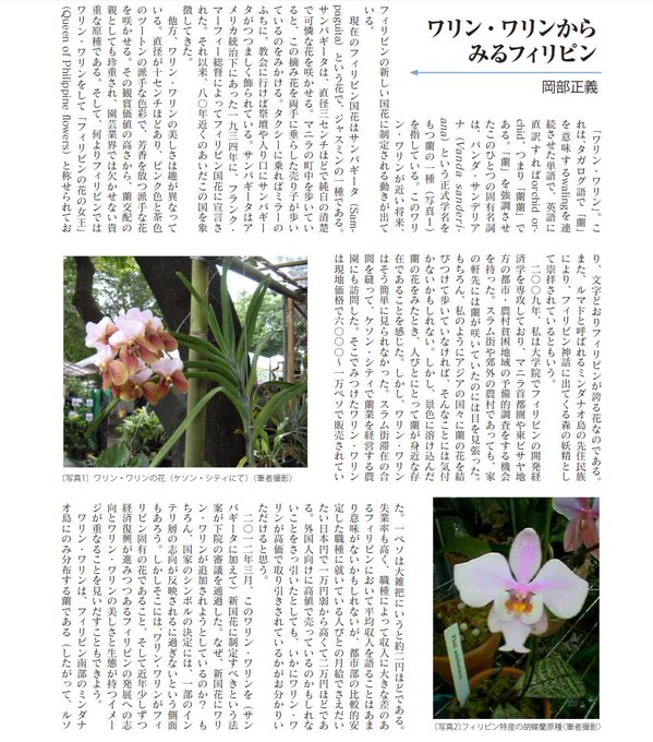 50 サンパギータ 花 最高の花の画像 50 サンパギータ 花 最高の花の画像