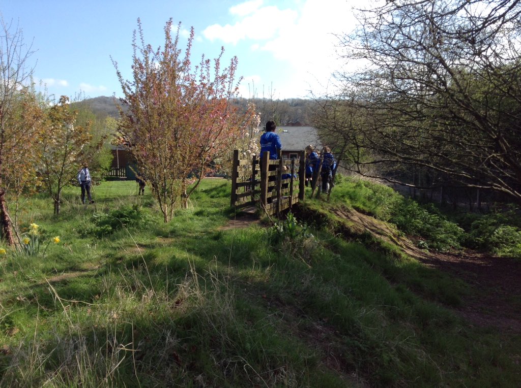 4EW_LPS's tweet photo. Enjoying the sunshine with a bug hunt and extra treats. #LPSscience Happy Easter @4JB_LPS @4EW_LPS https://t.co/uzWQaLS4E0
