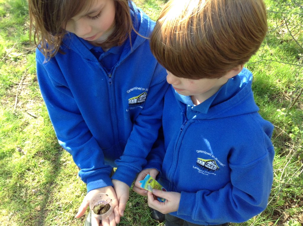 4EW_LPS's tweet photo. Year 4 have had fun hunting for invertebrates and finding the Easter bunny had left some treats out too. #LPSscience @4JB_LPS @4EW_LPS https://t.co/DgFBEK9mjD