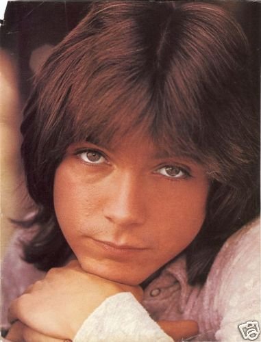 Happy Birthday wherever you are, David Cassidy.  