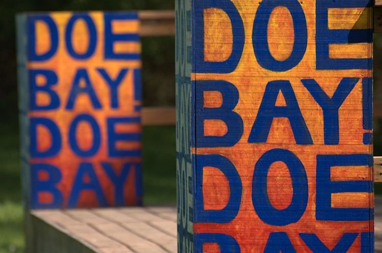 Doe Bay Fest tweet media