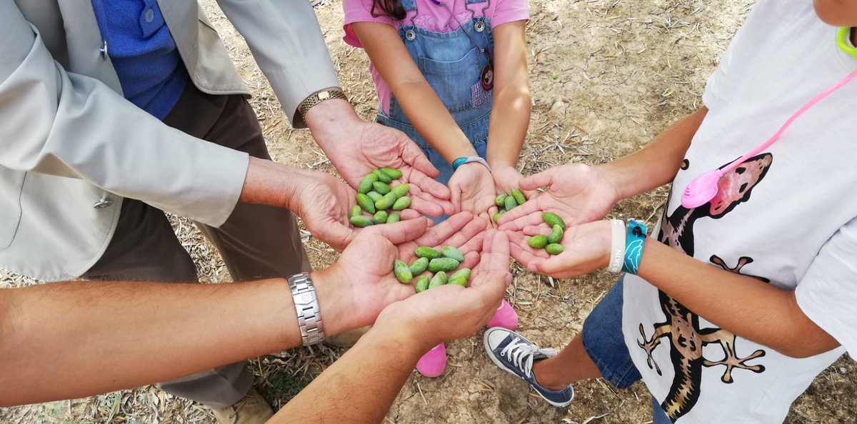 asajajaen's tweet photo. 🔴🔴Atención Jóvenes:

La @AgriculturAnd anuncia que adelantará el 25% de las Ayudas a Primera Instalación con sólo justificar el inicio de instalación 👨‍🔧👩‍🔧

👉Se beneficiarán los jóvenes de la última convocatoria y que tengan expediente favorable

https://t.co/MSg6AEF5YR https://t.co/CGa3899nLO
