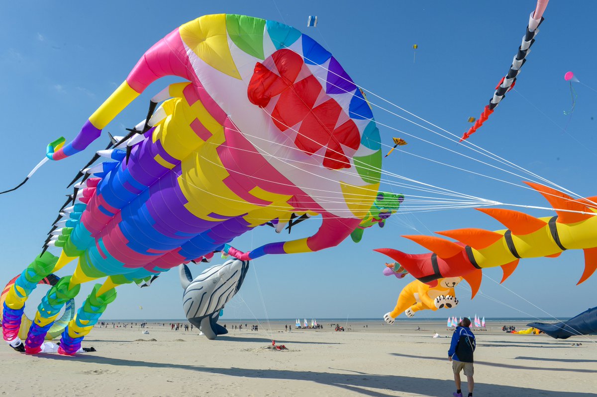 BercksurMer's tweet image. La magie continue...
#cerfsvolants #berck