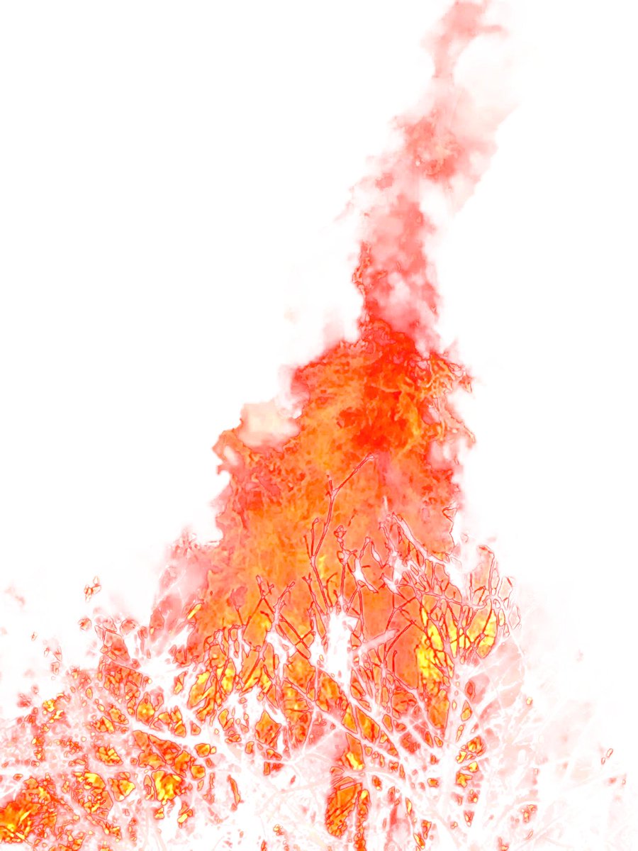 465 焚き火をしていたので写真を撮らせてもらい 炎の透過素材を作りました 背景を燃やしたいときなどにどうぞ