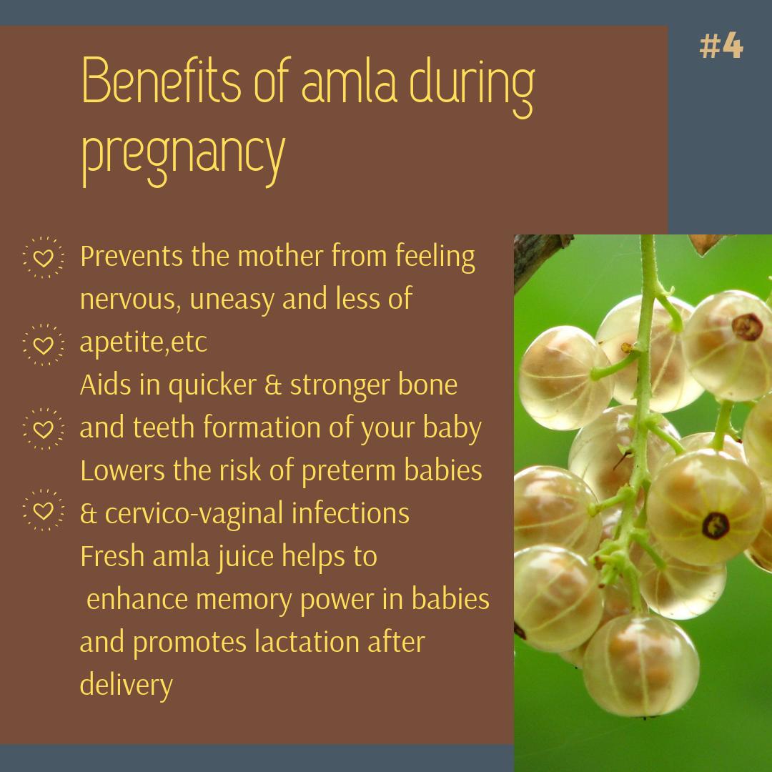 ovloin's tweet photo. Benefits Of Eating Amla During Pregnancy

#goodhealth #healthyfood #pregnancy #preggy #pregnancyproblems #coconutwater #womenshealth #ovloindia #womencarecenter #fertility #treatments #gynocologist #labourpains #healthylifestyle #pregnancyapps #ovulationtest #amla https://t.co/wjNeaYubM0