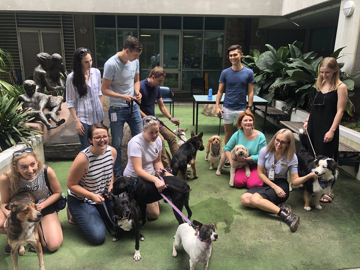 almarkwell's tweet photo. Our final #iEMWell19 #EMWW19 #EMWellnessweek19 event- bring your puppy to work day! Hopefully a semi-regular event... @WRAPEMtweet @Rothy001 @acemonline @JudkinsSimon https://t.co/hHIy3LMu21