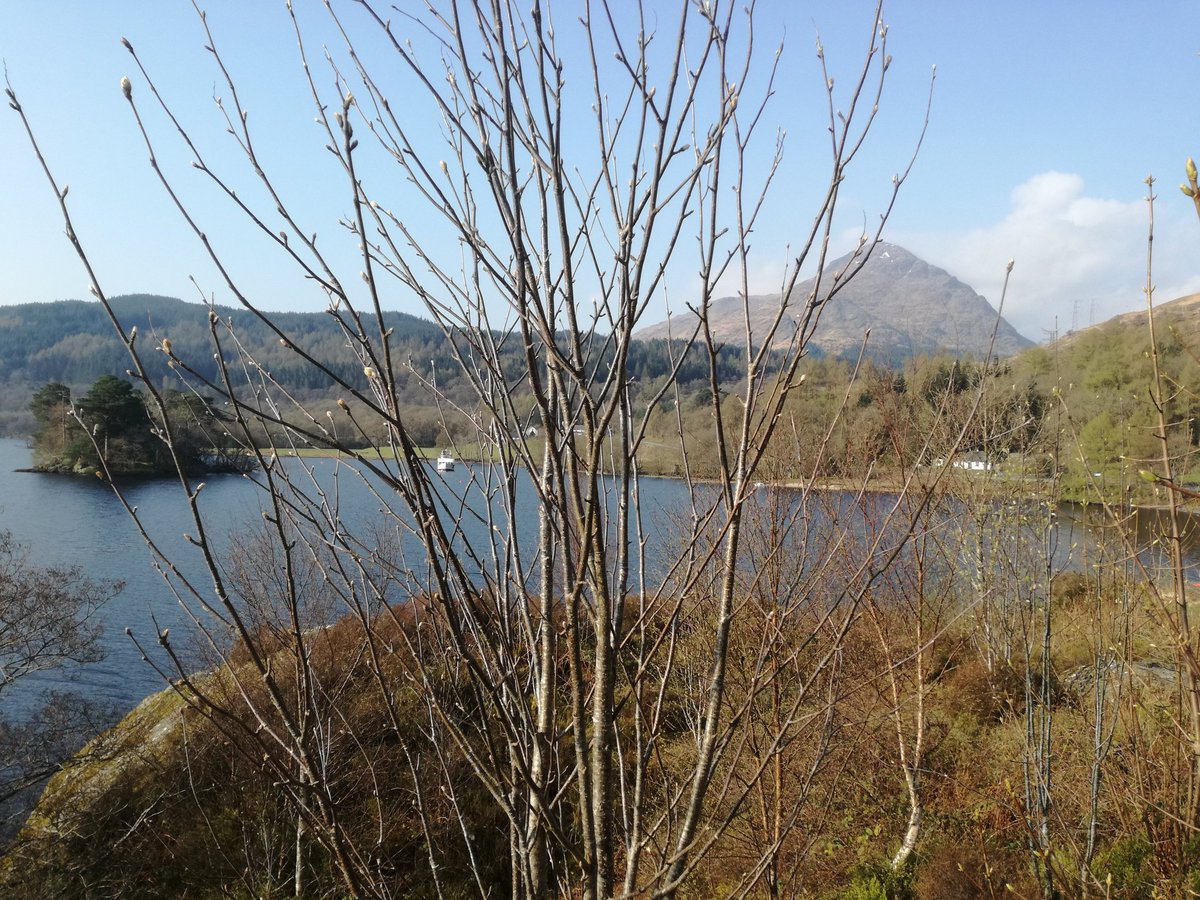Another fine morning at beautiful Loch Lomond. Happy weekend everyone.
@TarbertInfo 
<a href="/VisitScotland/">VisitScotland</a> 
<a href="/MaryJeanUK/">Mary Jean® Cruelty Free Beauty & Home Fragrance</a> 
<a href="/CruiseLL/">CruiseLochLomond</a> 
<a href="/Jaki_Graham/">Jaki Graham</a> 
<a href="/HighlandMidge/">The Highland Midge Lotion</a> 
<a href="/JudithRalston/">Judith@weather</a>