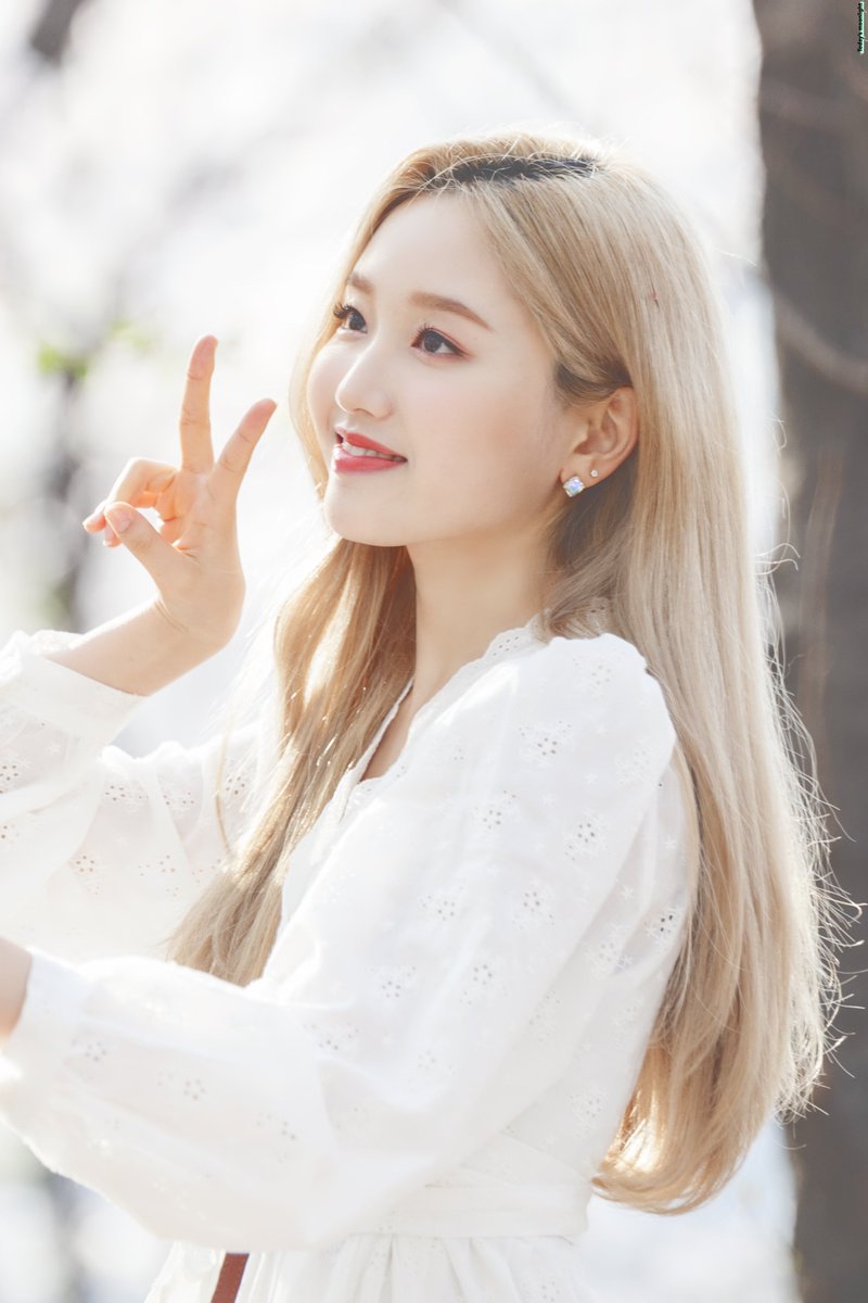Todaysmoonlight's tweet photo. 190412 이달의 소녀 고원 

🌸🌸🌸

#이달의소녀 #LOONA #고원 #Gowon https://t.co/htdCBdaO1Y
