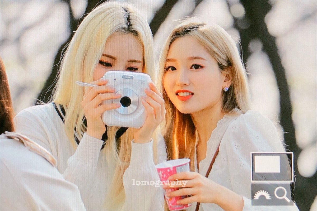 lomography_'s tweet photo. 190412 요기보쎄용~~📸
#고원 #이달의소녀 #GoWon #LOONA https://t.co/vLc9Yh1yJs
