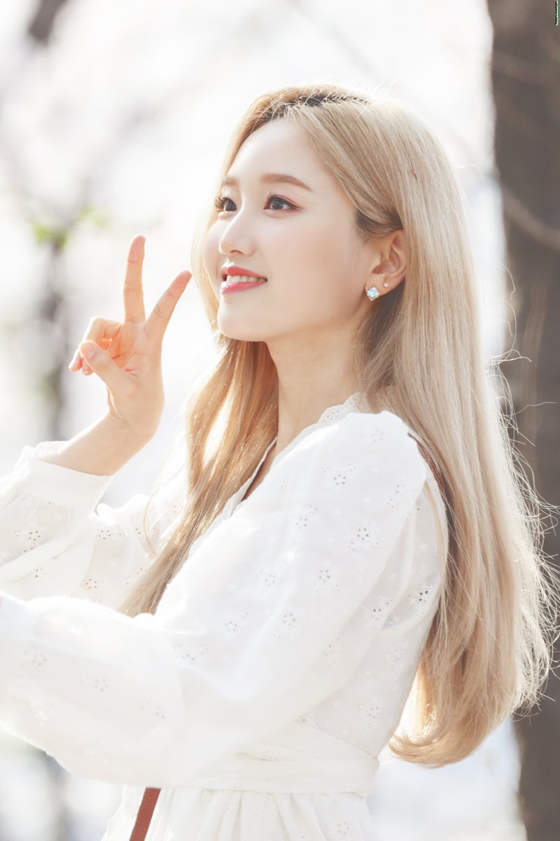Todaysmoonlight's tweet photo. 190412 이달의 소녀 고원 

🌸🌸🌸

#이달의소녀 #LOONA #고원 #Gowon https://t.co/htdCBdaO1Y