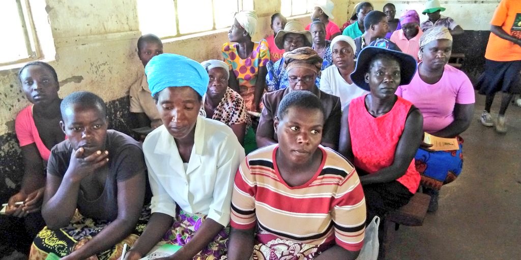 Women and Land in Zimbabwe tweet media