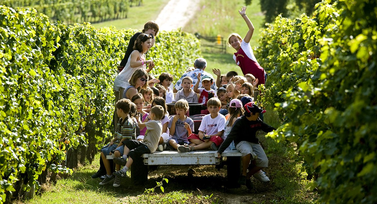 BordeauxTourism tweet picture