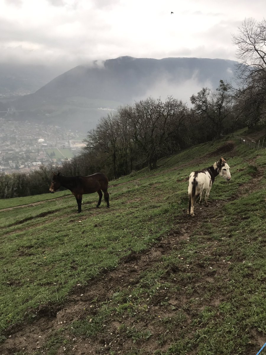 Tour des Solutions Alternatives tweet media