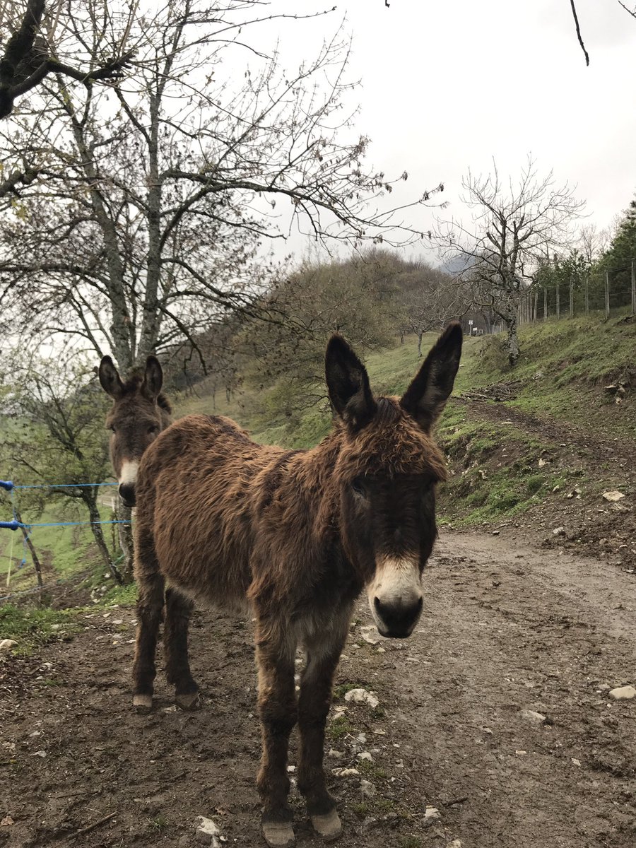 Tour des Solutions Alternatives tweet media