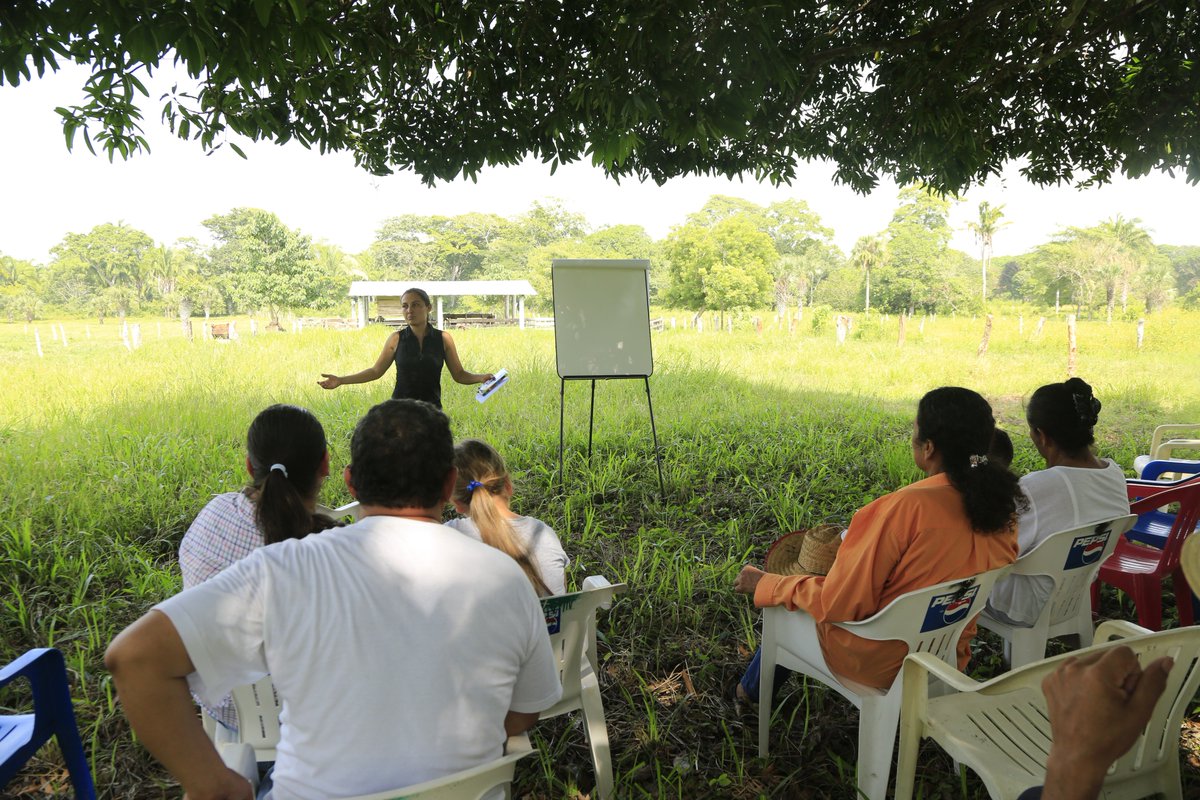 #Women have always been part of #forestry, and the latest edition of the Tropical Forest Update (TFU) newsletter –written mainly by women– shows how they are contributing to #sustainable forest management and to a more #egalitarian future. Read the edition itto.int/tfu/embracing_…