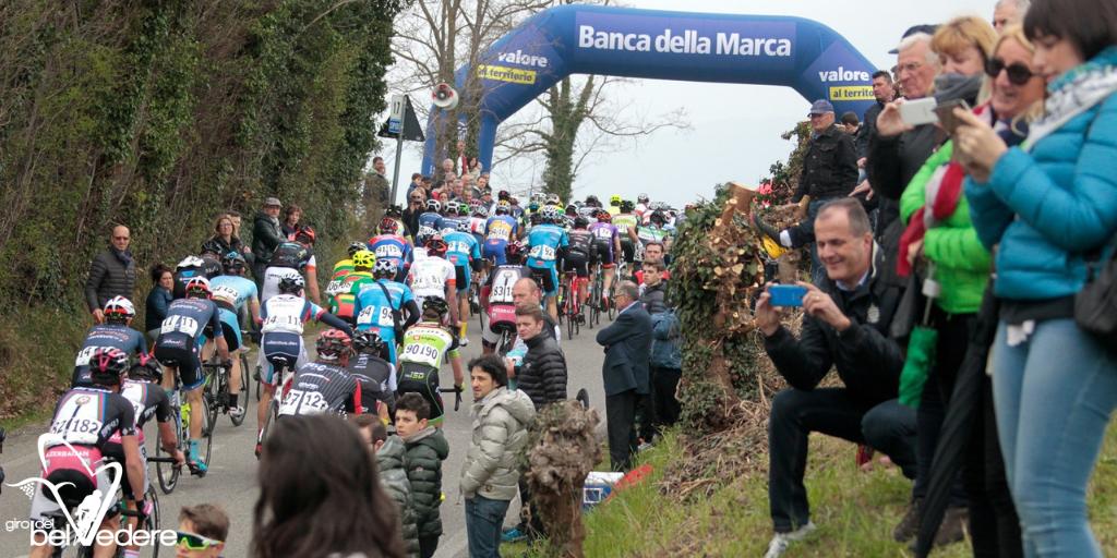 🍇🍈 Un ricco programma di eventi sino al giorno di #Pasquetta! Si parte già sabato 13 aprile con l'apertura della storica "Mostra dei Vini" e la degustazione dell’olio extravergine di oliva.

Vivi il #Belvedere a 360°! Scopri il programma completo: bit.ly/2ULmx8l 👈🏻