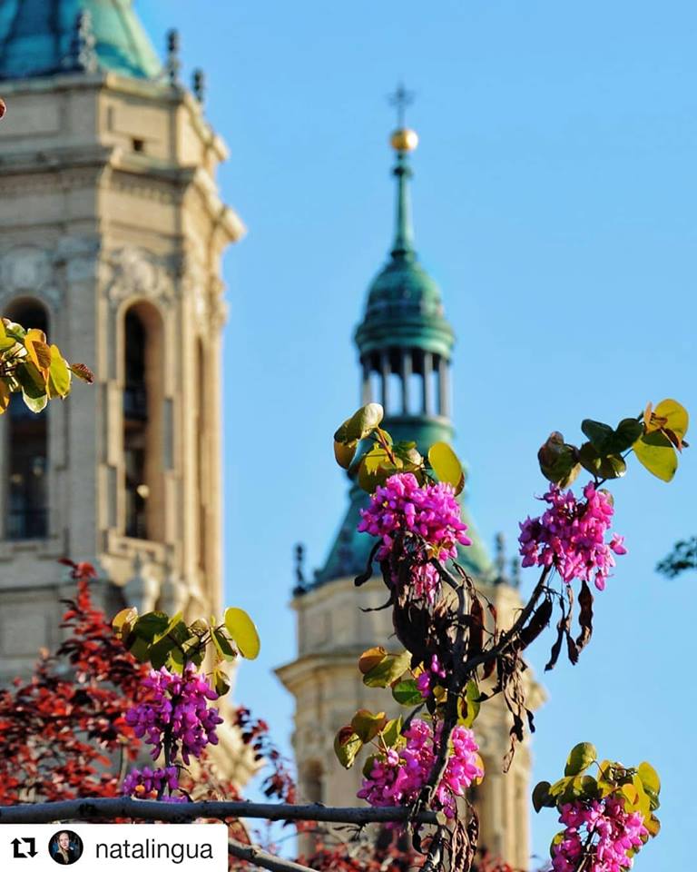 Good mornign and Happy Friday ! 
.
Let's begin the countdown for the weekend and the celebrations of #HolyWeek2019 in #Zaragoza #SemanaSantaZgz !
.
Enjoy all the activities scheduled for these #holidays in the city!

📷 Pic: IG natalingua
.
#ZGZTequiere #VisitZaragoza