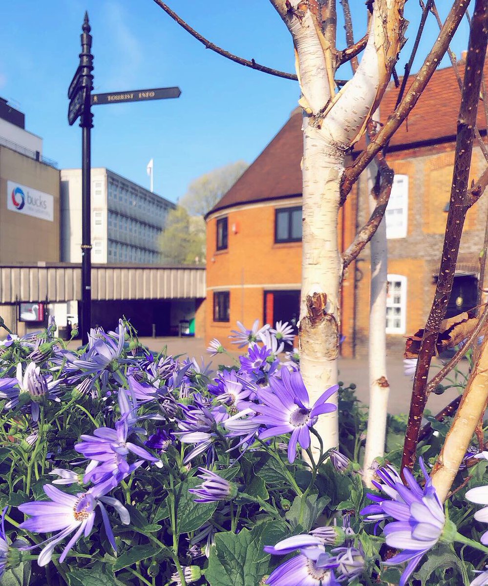 HelloMyWycombe's tweet photo. They’re back! Anyone spotted our pink pots dotted around town?
Keep your eyes peeled for more colourful touches as we prepare for our #Teamup2Cleanup event next Wednesday. 🌸🌸🌸
#flowers #spring #pinkpots #springflowers #bidvalue #towndressing https://t.co/RGi87xMaJe