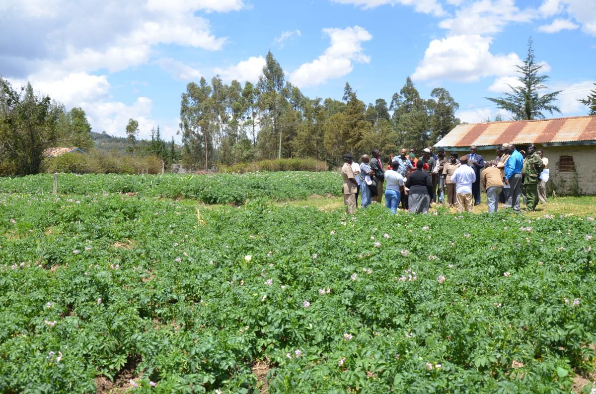 CDICCNyandarua's tweet photo. With the current dry spell, a sight of green matter can never go unnoticed. Kinungu Irrigation project funded to a tune of Shs. 25 million by NIB  is a success. https://t.co/WrA6bEOAyX