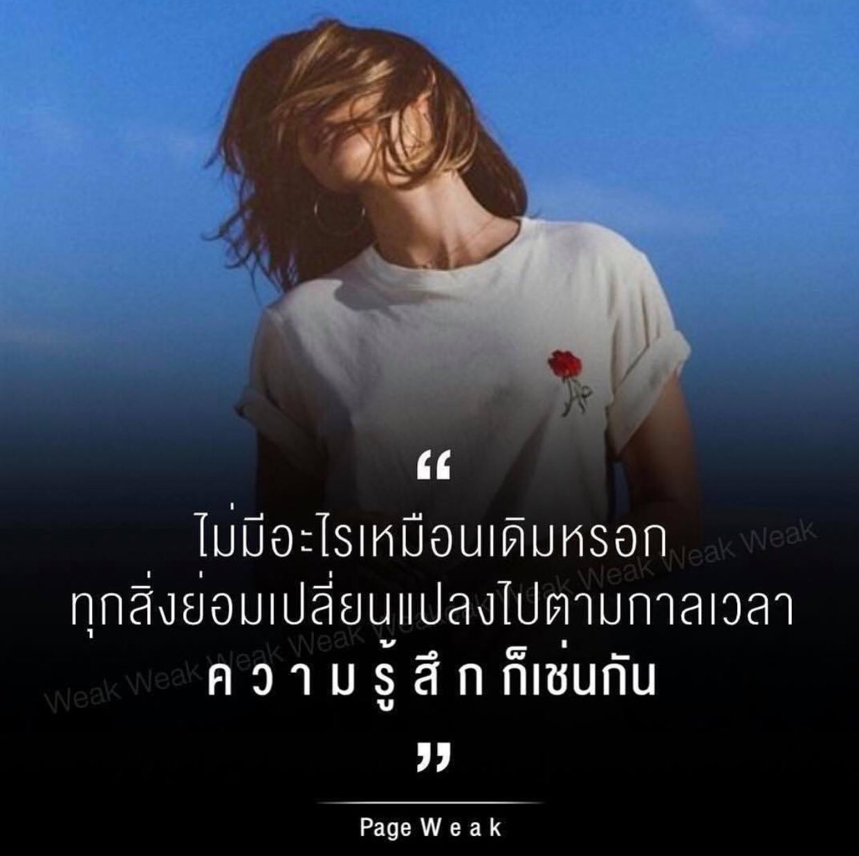 ทางของฉัน#ฝันของเธอ on Twitter: ทางของฉัน#ฝันของเธอ On Twitter: