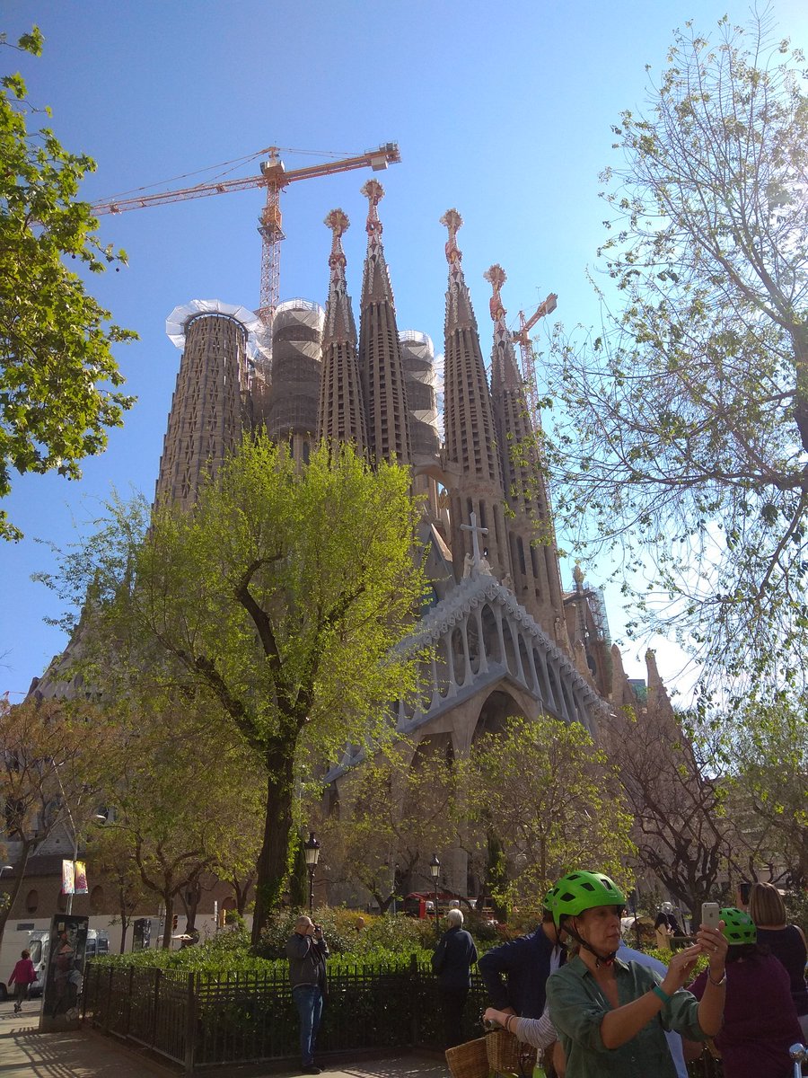 Qualitydomus, especialistas de domotica Barcelona tweet media