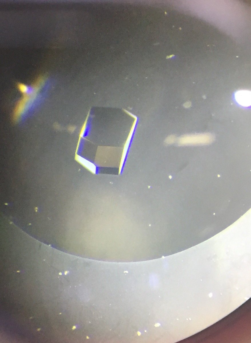scientisttobe's tweet photo. These are chickenegg albumen cristalls, which were made with the hanging-drop method. #undergraduatestudies #biology #structuralbiology https://t.co/lV5EtGlDp3