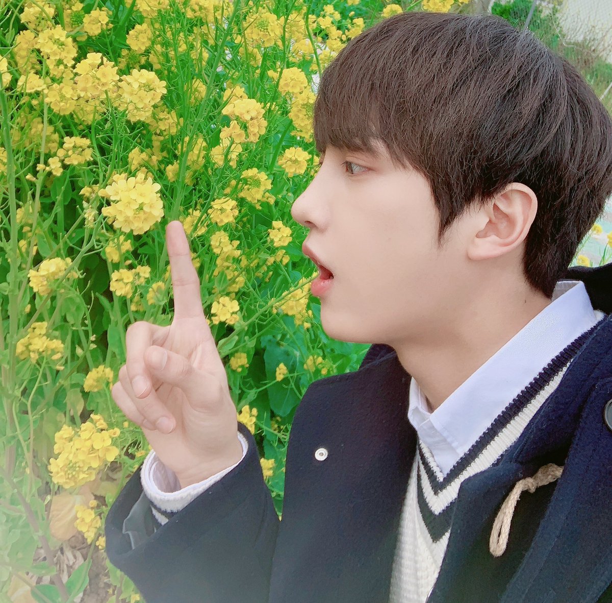 삼성동 불개미😘

#업텐션 #UP10TION #선율 #SUNYOUL