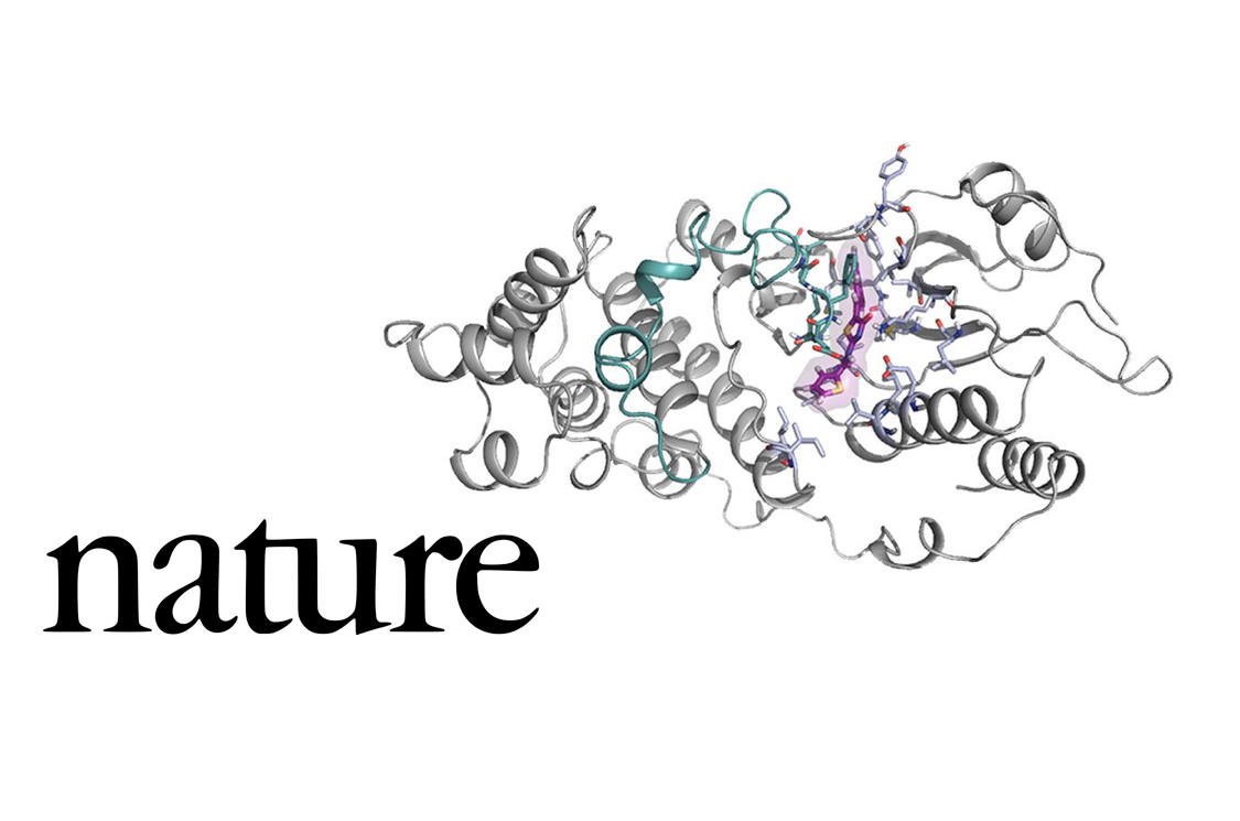 IQCC UdG (@iqccudg) on Twitter photo Discovery of a new therapeutic target in liver cancer, a new study in <a href="/nature/">nature</a> by <a href="/ferranfeixas/">Ferran Feixas</a>, <a href="/silviaosu/">Silvia Osuna</a>, <a href="/CNIC_Cardio/">CNIC</a>, @CNIO_Cancer, and colleagues
iqcc.udg.edu/wordpress/2019… Discovery of a new therapeutic target in liver cancer, a new study in <a href="/nature/">nature</a> by <a href="/ferranfeixas/">Ferran Feixas</a>, <a href="/silviaosu/">Silvia Osuna</a>, <a href="/CNIC_Cardio/">CNIC</a>, @CNIO_Cancer, and colleagues
iqcc.udg.edu/wordpress/2019…