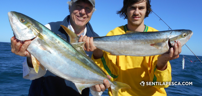 Sentilapesca's tweet photo. INFORMES | Pesca exclusiva al pez limon, anchoas y bonitos > https://t.co/vhOKzcMjl4
#pescadeportiva #mardelplata #pesca #embarcada #pescadealtura #pezlimon #aquafish https://t.co/uFp0BGYVFH