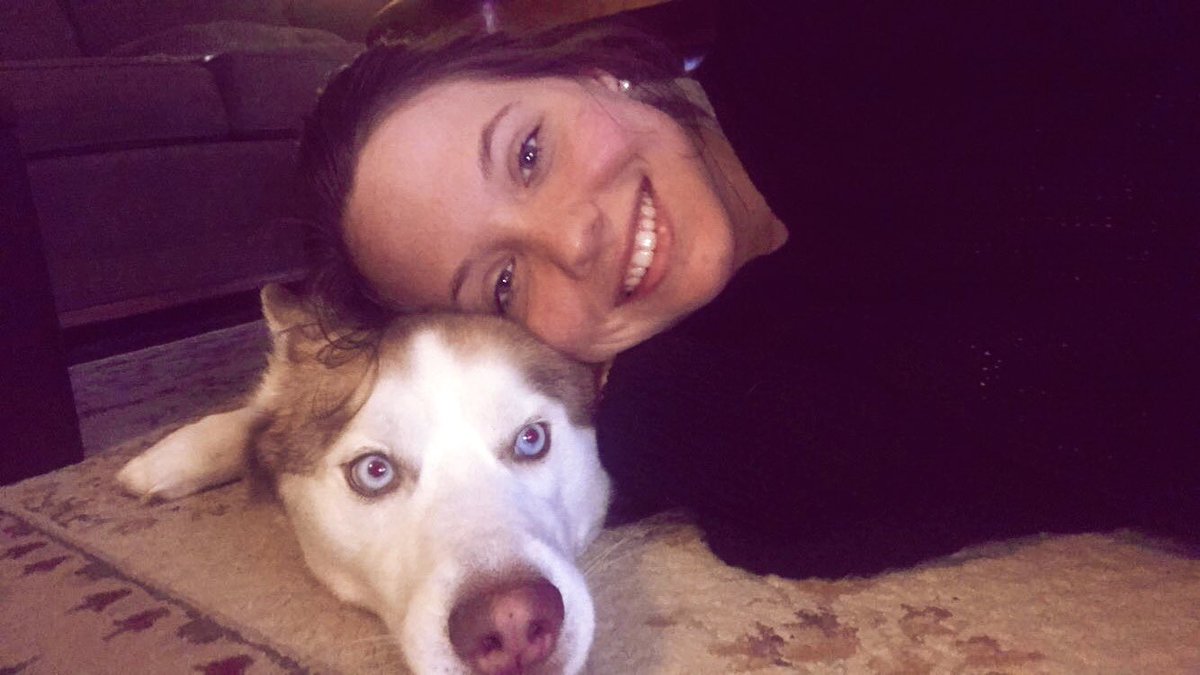 caitlinwestt's tweet photo. sooo I guess yesterday was national pet day &amp; I didn’t post a picture of this baby 💔 But here’s the world’s sweetest and most spoiled pet ever. He only eats Mcdonald’s hamburgers &amp; chicken strips. He’s also the cutest dog ever. He brings so much joy to our home. https://t.co/YZpoJ5fEJk