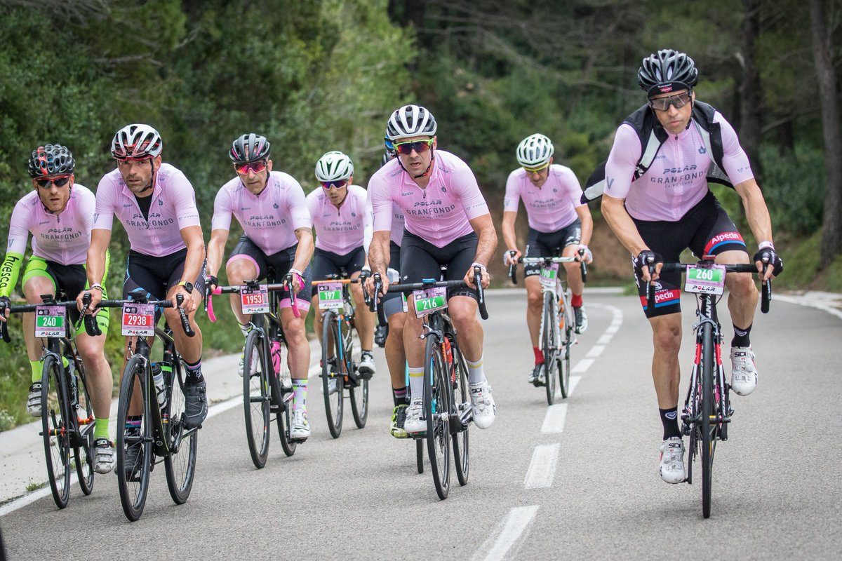 ⚡️OFERTA FLASH ⚡️ ¿Estás apuntado a la lista de espera y cada día rezas un "Rider Nuestro" para que te puedas sumar a la #marearosa? Esta es tu oportunidad: Alojamiento + dorsal con <a href="/Bikefriendly_es/">Bikefriendly</a> 👉 polargranfondolamussara.com/es/alojamiento…
#escribelaleyenda #marcha #motivation #lamussara