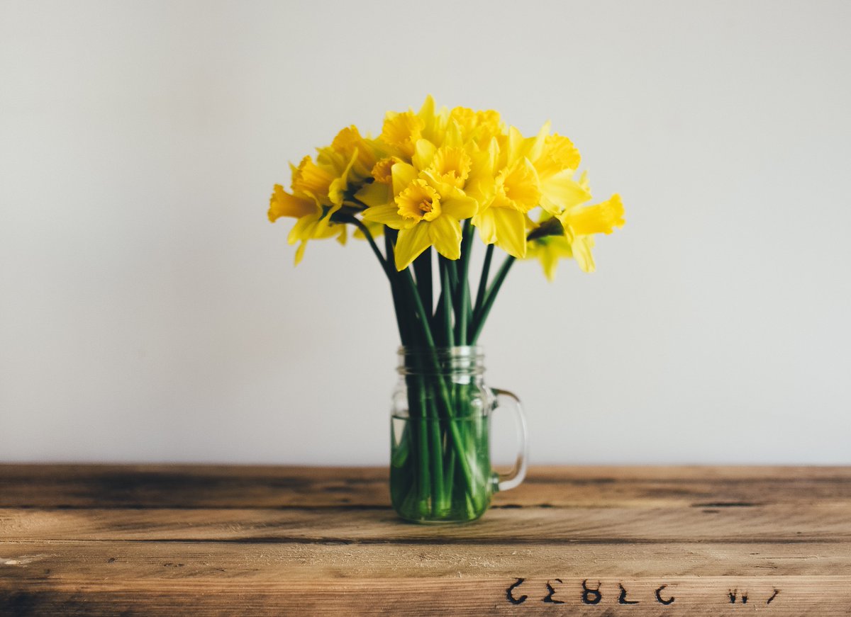 Der <a href="/myhandicap_/">MyHandicap</a> (GER) NEWSLETTER April ist da. 
-&gt; tinyurl.com/y37dt4vq
Viel Spaß beim Lesen! 

Foto: ©Annie Spratt