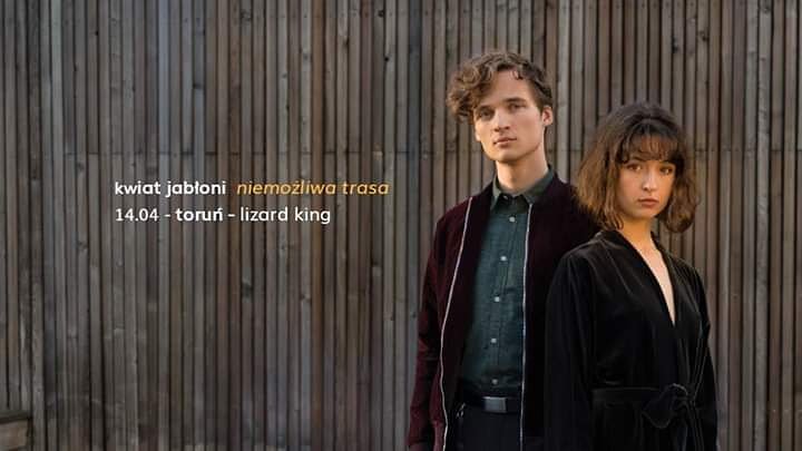 umktv's tweet photo. Na zakończenie weekendu polecamy koncert Kwiatu Jabłoni. https://t.co/l4kdKvOKZY