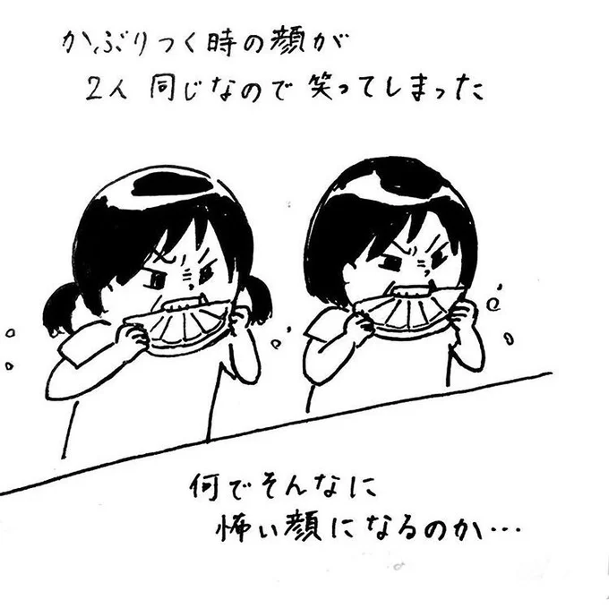 オレンジにかぶりつく時の顔がホラー?長女7歳次女4歳の頃。 