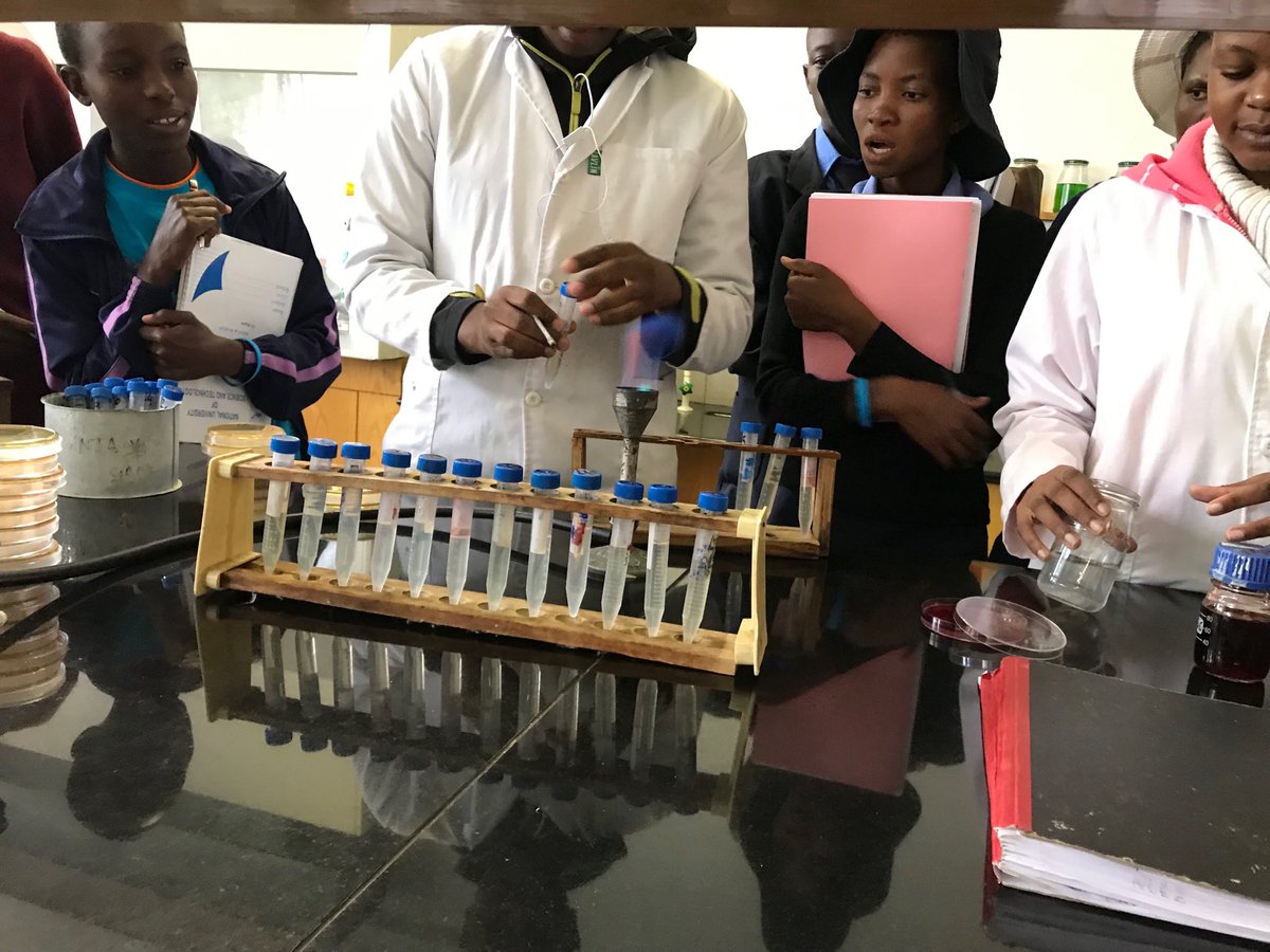 SiceloSTEMLADY's tweet photo. @nustzim with girls from rural schools without Laboratories enjoying the exposure🌸#MorefemaleScientist #Leavenichildbehind #BetterTheBalance @usembassyharare @BronteMoules @Techwomenzim @ElevateTrust @LecBiotec https://t.co/Qulc878f44