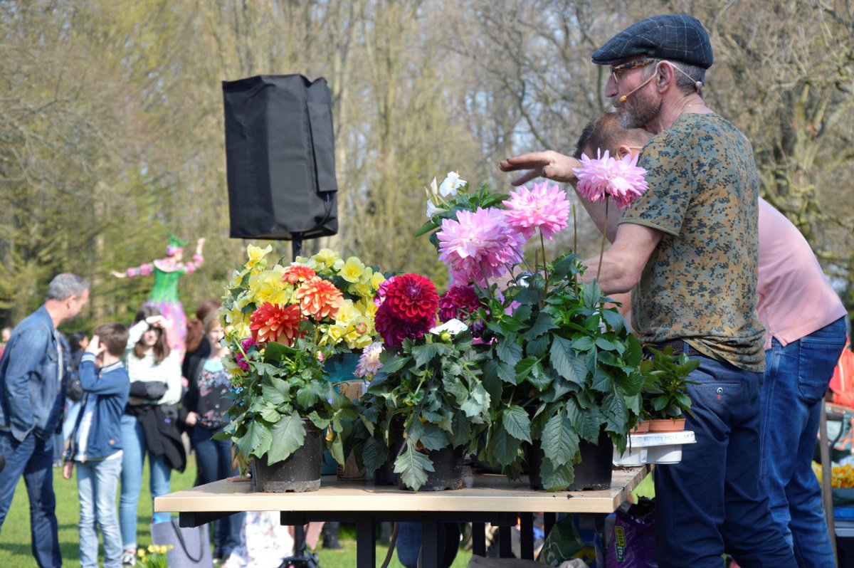 BeekenkampNL's tweet photo. WOW! Our Dreams Begonia and LaBella Dahlia have stolen the show during "De Grote Tuinverbouwing" in the Keukenhof last weekend!

@RobVerlinden @Pullposition #IvoPutman #Dreams #Begonia #LaBella #Dahlia #Ornamentals #Inspiration #Spring #Bollenstreek #Keukenhof https://t.co/LCKp4Du54E