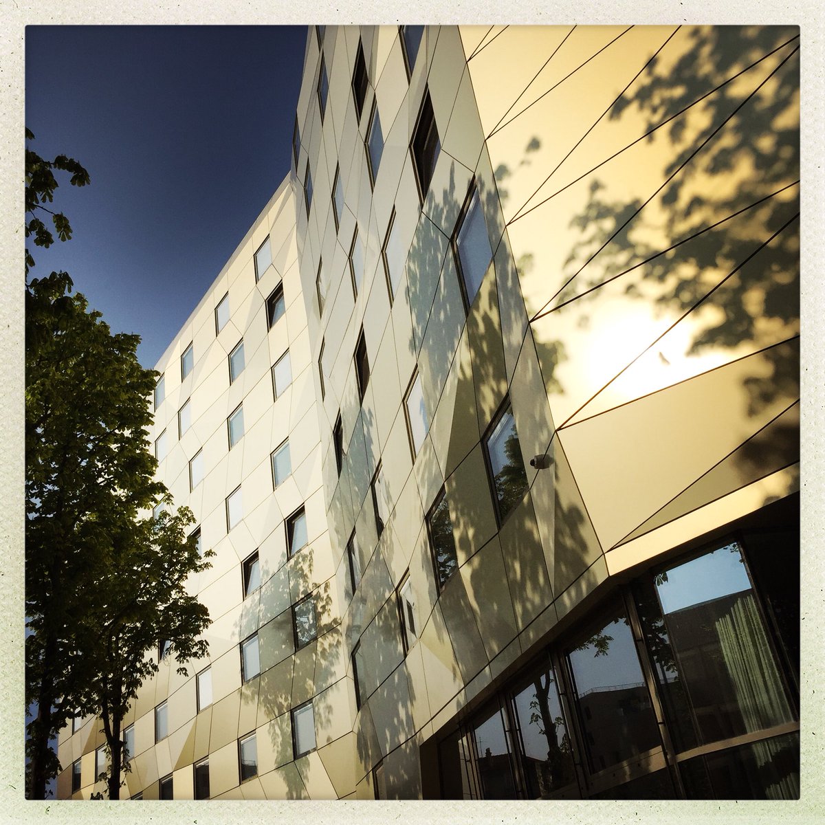 greedygourmet_'s tweet photo. Au fil des pas: #Paris 14e. Ce matin, Cité universitaire internationale. L’ombre des arbres sur la Maison de L’Ile-de-France. Bâtiment pionnier 100% écologique réalisé par ANMA. #patrimoine #architecture #IDF #clilmat #environnement #jardins @ciup_fr @Taigasangare @fclsarl https://t.co/l1mojPiIP8
